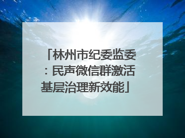 林州市纪委监委：民声微信群激活基层治理新效能