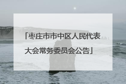 枣庄市市中区人民代表大会常务委员会公告