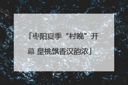 枣阳夏季“村晚”开幕 皇桃飘香汉韵浓