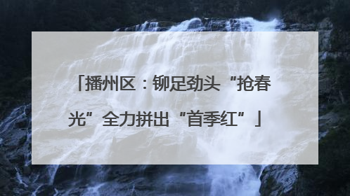 播州区：铆足劲头“抢春光”全力拼出“首季红”