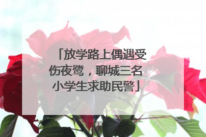 放学路上偶遇受伤夜鹭，聊城三名小学生求助民警