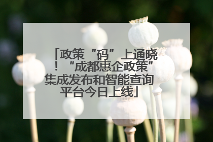 政策“码”上通晓！“成都惠企政策”集成发布和智能查询平台今日上线