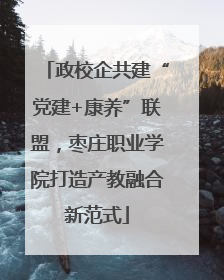 政校企共建“党建+康养”联盟，枣庄职业学院打造产教融合新范式