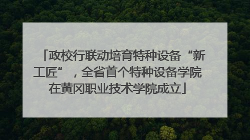 政校行联动培育特种设备“新工匠”，全省首个特种设备学院在黄冈职业技术学院成立