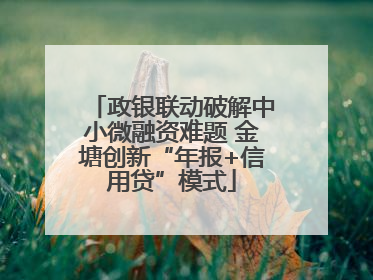 政银联动破解中小微融资难题 金塘创新“年报+信用贷”模式
