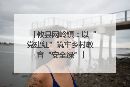 攸县网岭镇：以“党建红”筑牢乡村教育“安全绿”
