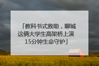 教科书式救助，聊城这俩大学生高架桥上演15分钟生命守护
