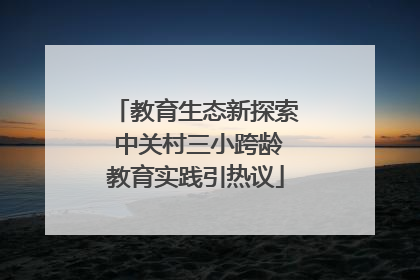 教育生态新探索 中关村三小跨龄教育实践引热议