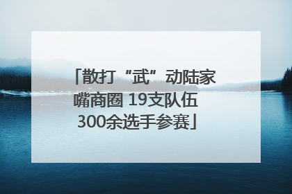 散打“武”动陆家嘴商圈 19支队伍300余选手参赛