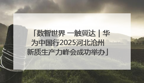 数智世界 一触冀达｜华为中国行2025河北沧州新质生产力峰会成功举办
