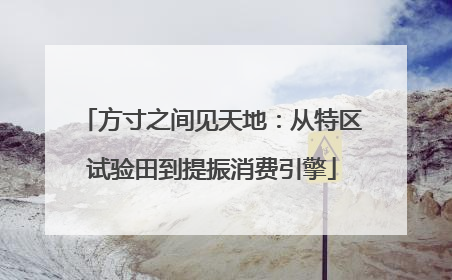 方寸之间见天地：从特区试验田到提振消费引擎