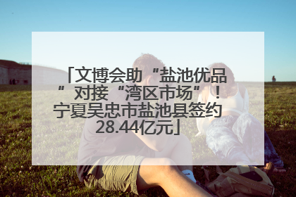 文博会助“盐池优品”对接“湾区市场”！宁夏吴忠市盐池县签约28.44亿元