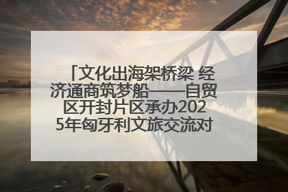 文化出海架桥梁 经济通商筑梦船——自贸区开封片区承办2025年匈牙利文旅交流对接活动专场