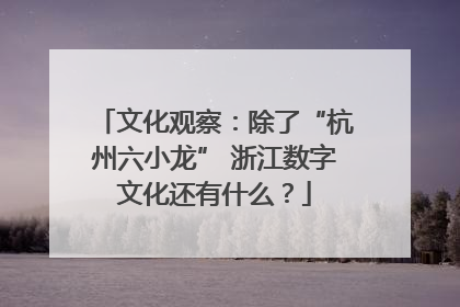 文化观察：除了“杭州六小龙” 浙江数字文化还有什么？