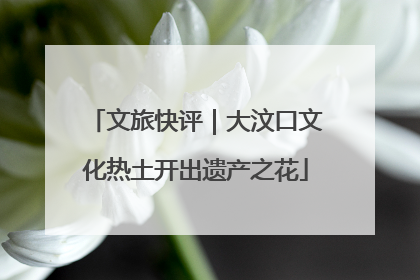 文旅快评｜大汶口文化热土开出遗产之花