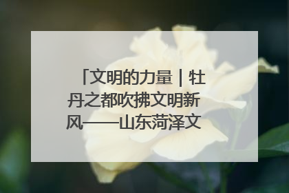 文明的力量｜牡丹之都吹拂文明新风——山东菏泽文明创建一线见闻