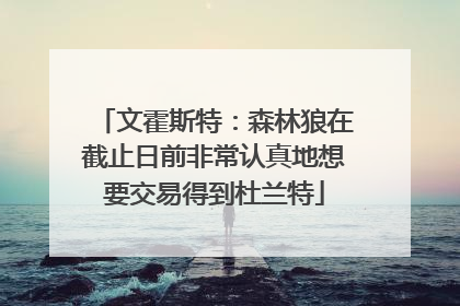 文霍斯特：森林狼在截止日前非常认真地想要交易得到杜兰特