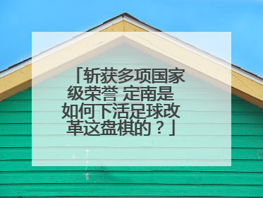 斩获多项国家级荣誉 定南是如何下活足球改革这盘棋的？