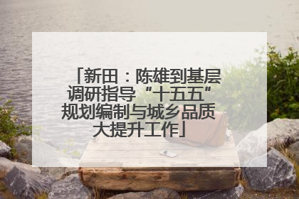 新田：陈雄到基层调研指导“十五五”规划编制与城乡品质大提升工作