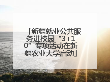 新疆就业公共服务进校园“3+10”专项活动在新疆农业大学启动