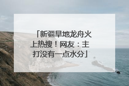 新疆旱地龙舟火上热搜！网友：主打没有一点水分