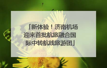 新体验！济南机场迎来首批航旅融合国际中转航线旅游团