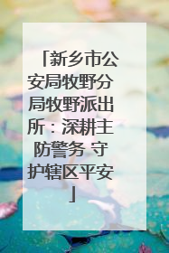 新乡市公安局牧野分局牧野派出所：深耕主防警务 守护辖区平安