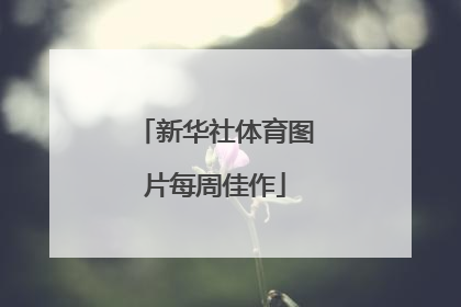 新华社体育图片每周佳作