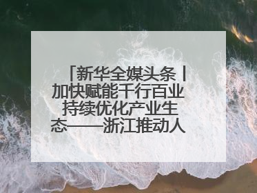 新华全媒头条丨加快赋能千行百业 持续优化产业生态——浙江推动人工智能健康有序发展观察