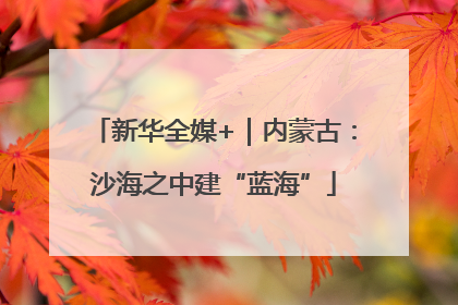 新华全媒+｜内蒙古：沙海之中建“蓝海”