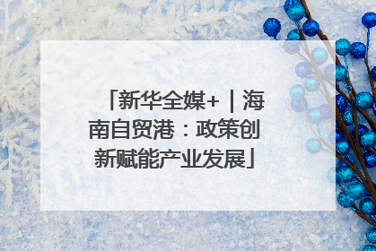 新华全媒+｜海南自贸港：政策创新赋能产业发展