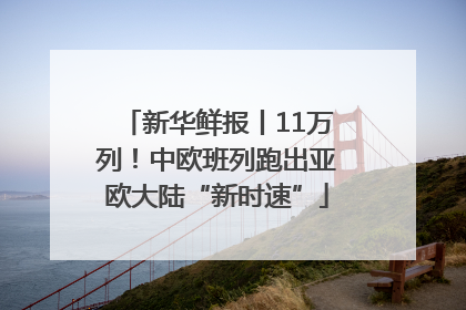 新华鲜报丨11万列！中欧班列跑出亚欧大陆“新时速”
