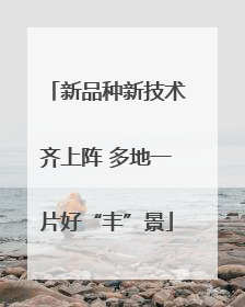 新品种新技术齐上阵 多地一片好“丰”景