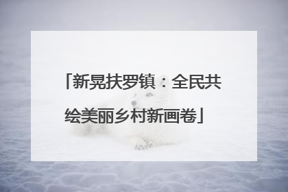 新晃扶罗镇：全民共绘美丽乡村新画卷