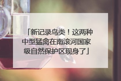 新记录鸟类！这两种中型猛禽在南滚河国家级自然保护区现身了