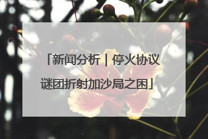 新闻分析｜停火协议谜团折射加沙局之困