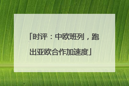 时评：中欧班列，跑出亚欧合作加速度