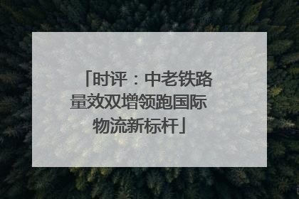 时评：中老铁路量效双增领跑国际物流新标杆