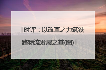 时评：以改革之力筑铁路物流发展之基(图)
