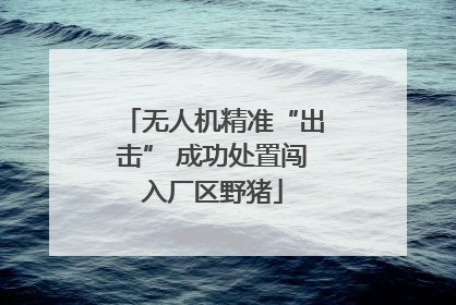 无人机精准“出击” 成功处置闯入厂区野猪