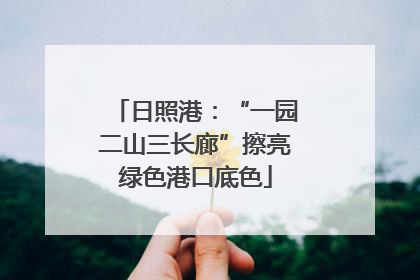日照港：“一园二山三长廊”擦亮绿色港口底色