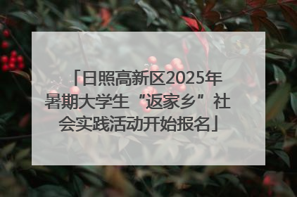 日照高新区2025年暑期大学生“返家乡”社会实践活动开始报名
