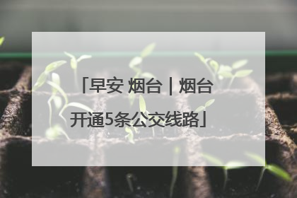 早安 烟台｜烟台开通5条公交线路