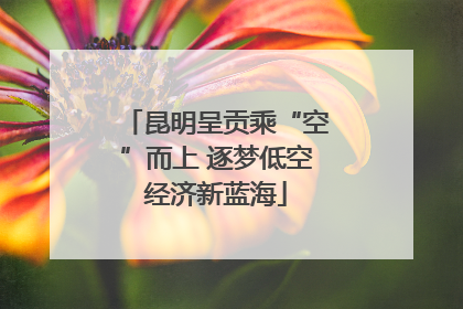 昆明呈贡乘“空”而上 逐梦低空经济新蓝海