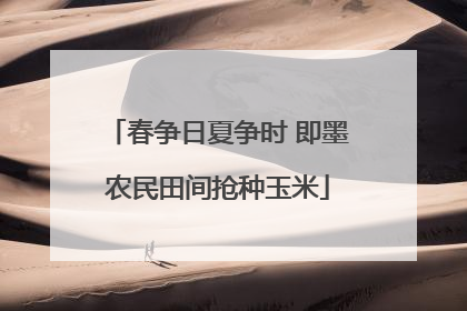 春争日夏争时 即墨农民田间抢种玉米