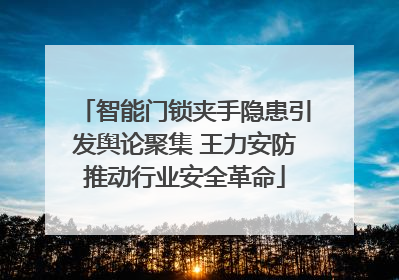 智能门锁夹手隐患引发舆论聚集 王力安防推动行业安全革命