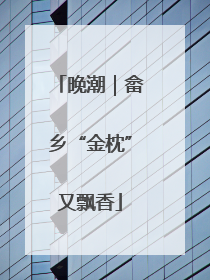 晚潮｜畲乡“金枕”又飘香