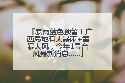 暴雨蓝色预警！广西局地有大暴雨+雷暴大风，今年1号台风最新消息……