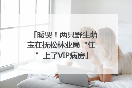 暖哭！两只野生萌宝在抚松林业局“住”上了VIP病房