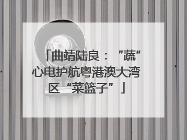 曲靖陆良：“蔬”心电护航粤港澳大湾区“菜篮子”